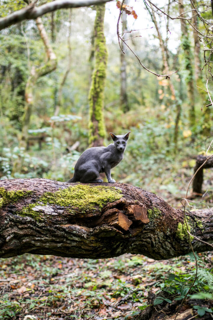 richenda with donkeys